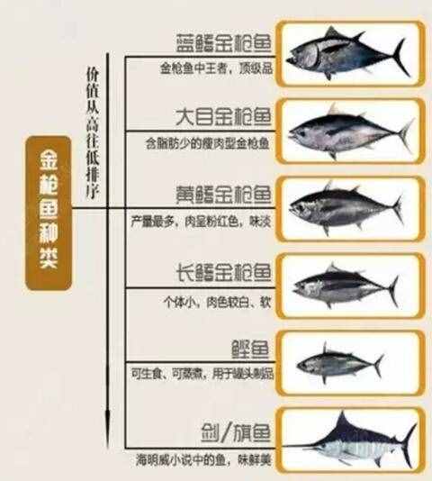 吃金枪鱼最健康，四大家鱼的常见烹饪做法