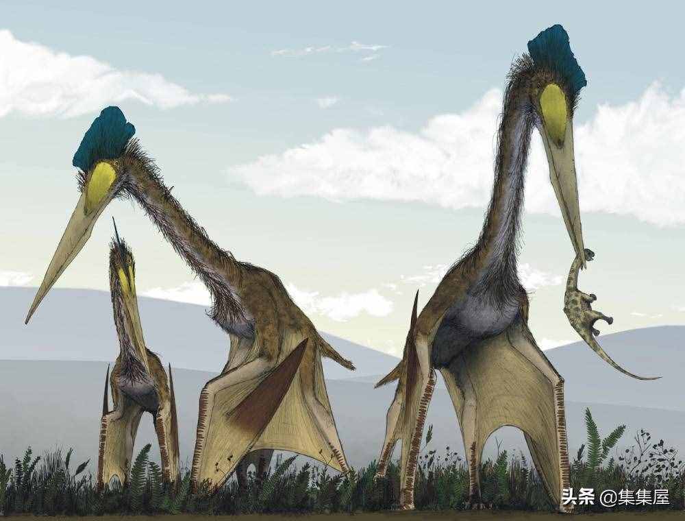 科学家发现了有长颈鹿那么高的巨鸟！5个奇怪的史前生物发现