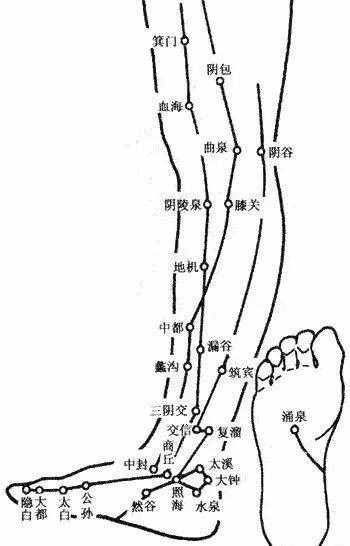 人体穴位图，从头到脚都标的一清二楚