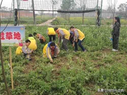 社会实践活动有哪些。小学生、中学生、大学生、老师、家长必看