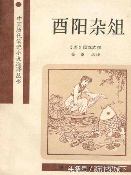 童话《灰姑娘》溯源 中国版的《灰姑娘》早800年