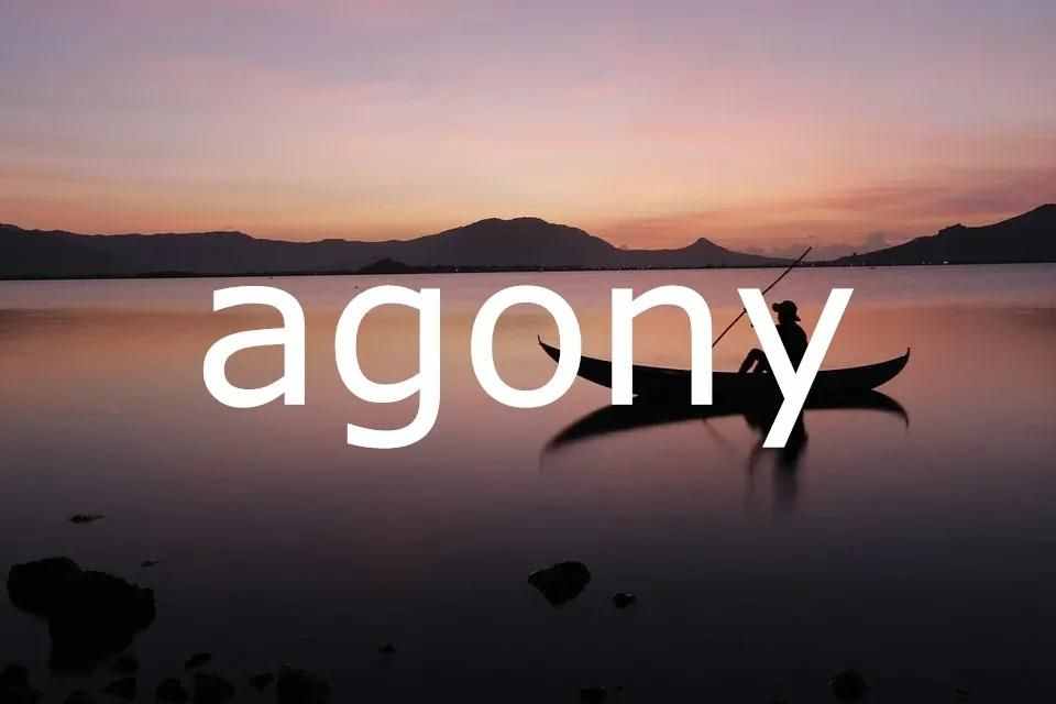 agony什么意思（每日单词：agony）