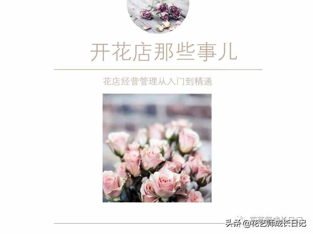 从1-9394朵玫瑰花语加图片大全，送花，原来这么多讲究！