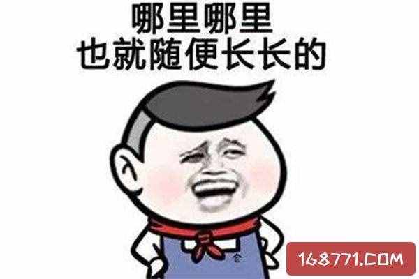 得瑟是什么意思?做了芝麻大的事却得意忘形(源自东北话)