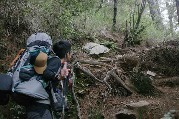 迷路怎么办？野外迷路的自救6大步骤，等待救援333原则