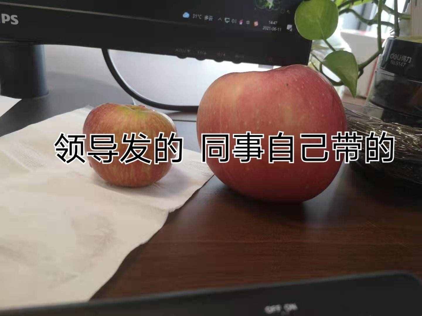 公司端午节福利有多“寒酸”？网友：就这玩意？还不如什么都不送