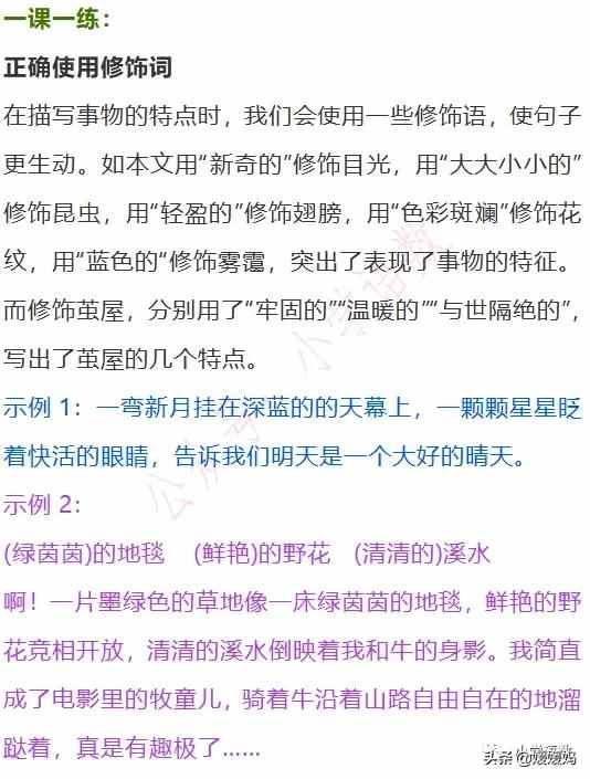 二年级下册语文课文22《小毛虫》图文详解及同步练习