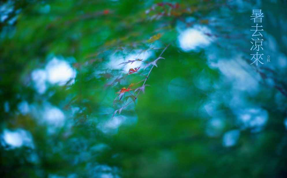 「诗词鉴赏」节物催吾老 天涯见立秋，邂逅最美立秋诗词