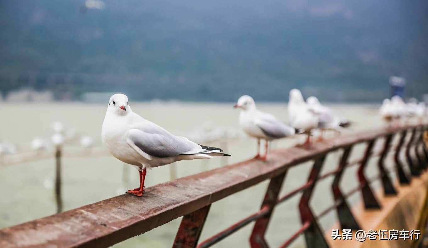 昆明三天自助游攻略，昆明自由行三天自由行攻略