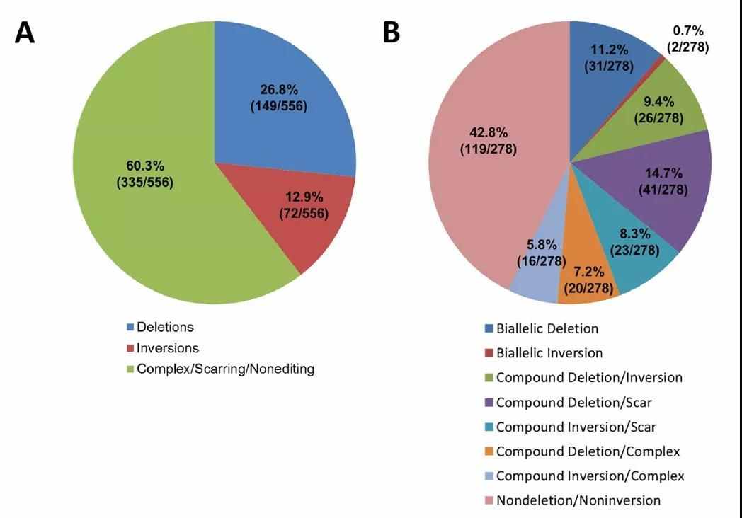 CRISPR/Cas9敲除LncRNA或者外显子的效率是多少？