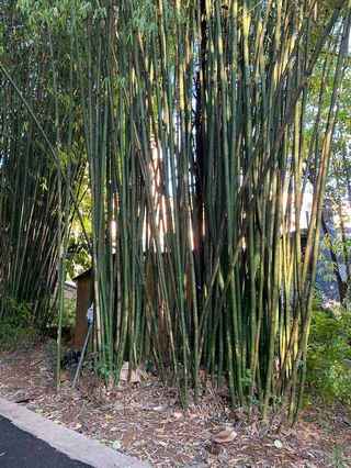 昆明 大理 丽江6日游