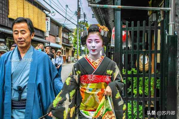 实拍京都最大艺伎区：日本艺伎不是妓，一出场惊艳无数摄影师