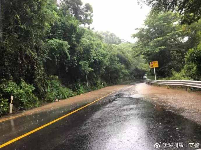 强降雨把深圳浇成了这样，网友：是时候展示我的游泳技术了！