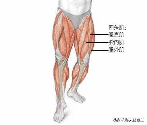 打造强壮的腿部肌肉，需掌握这六个训练动作