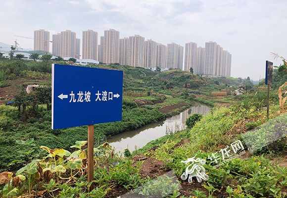 重庆市河道管理条例（重庆河道管理条例执行情况如何？）
