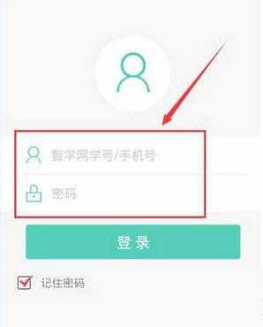 如何通过智学网查询小学成绩？查询小学成绩的方法讲解