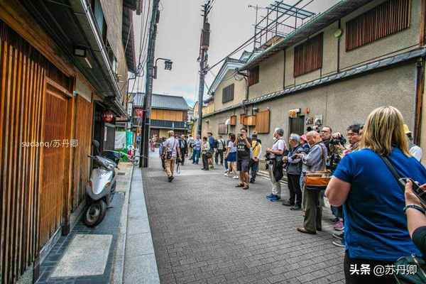 实拍京都最大艺伎区：日本艺伎不是妓，一出场惊艳无数摄影师