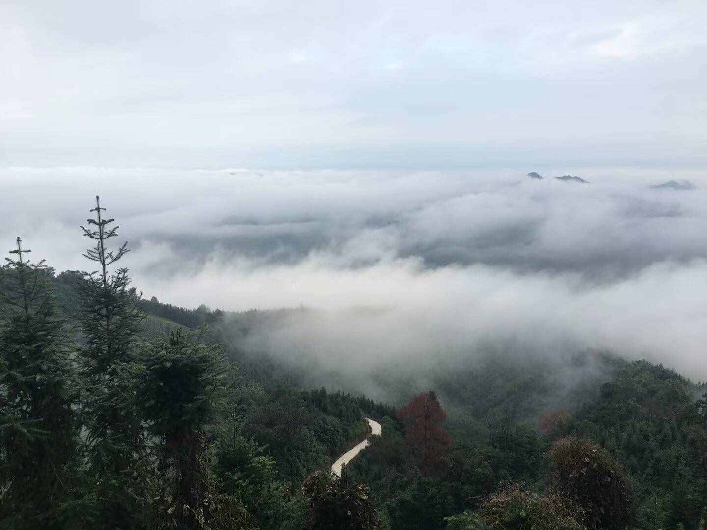 过去的日子如轻烟