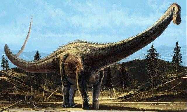最大的恐龙（世界10大最大的恐龙）