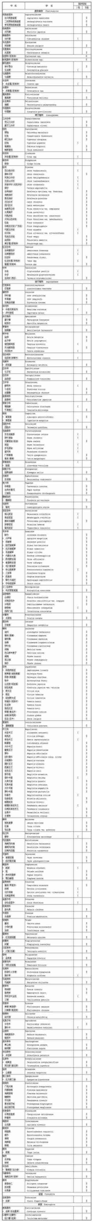 中国珍稀植物的危机（五小叶槭）