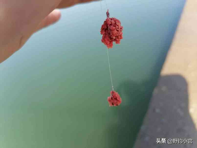 台钓学会看漂相抓口，鱼获比别人多一半，不信看完评论区见