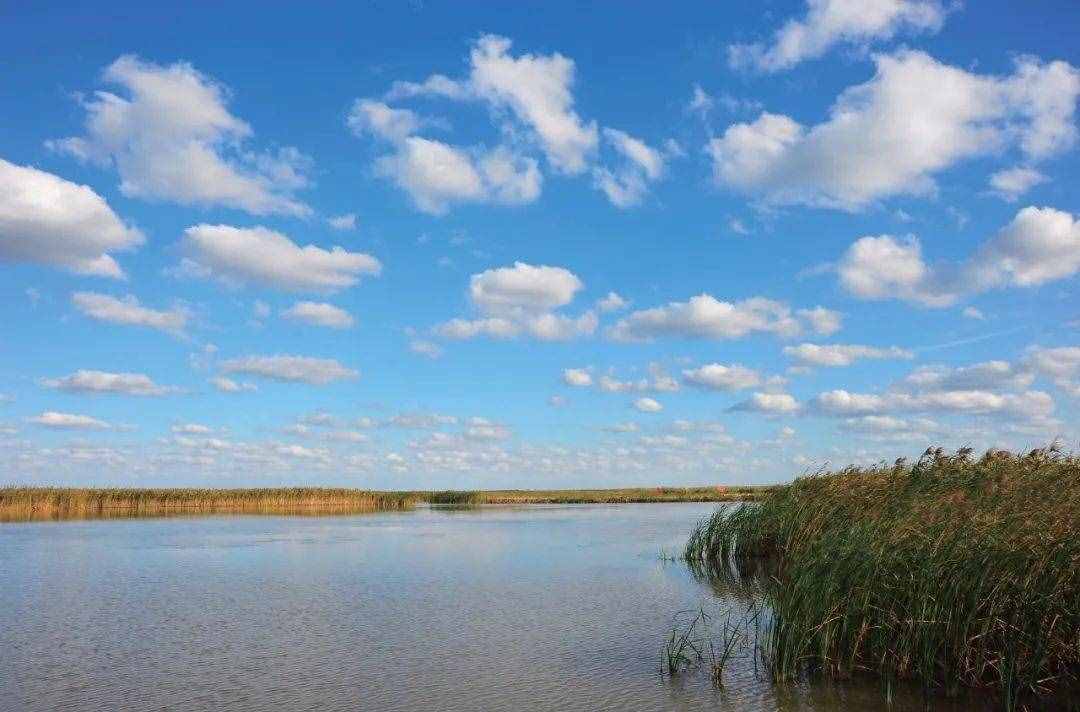 湿地：地球之肾 生命之舟