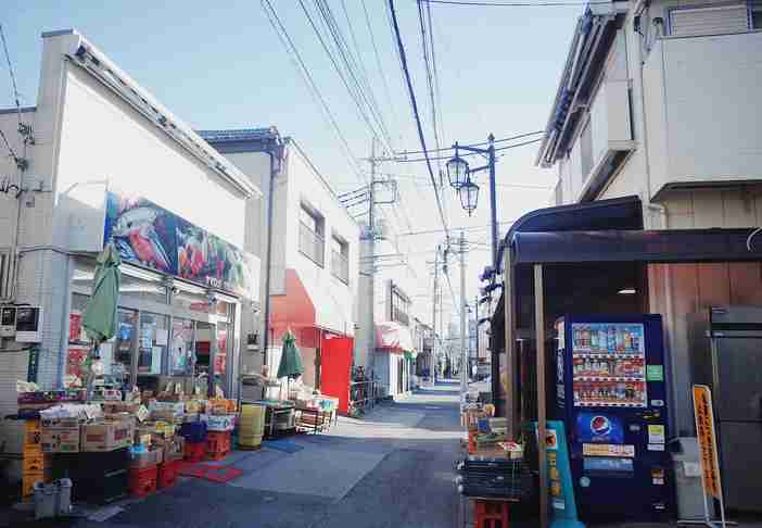 留学日本中介（日本留学最靠谱的中介）