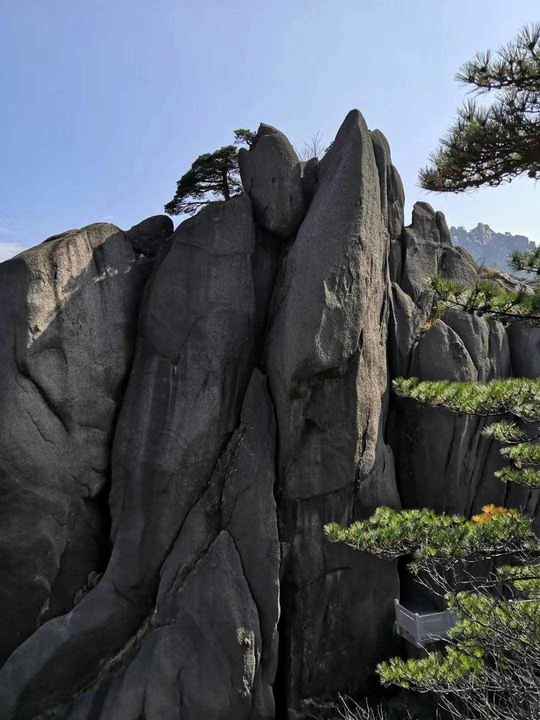 大美黄山奇松怪石