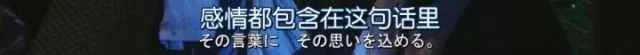 520，教你用各国语言说“我爱你”