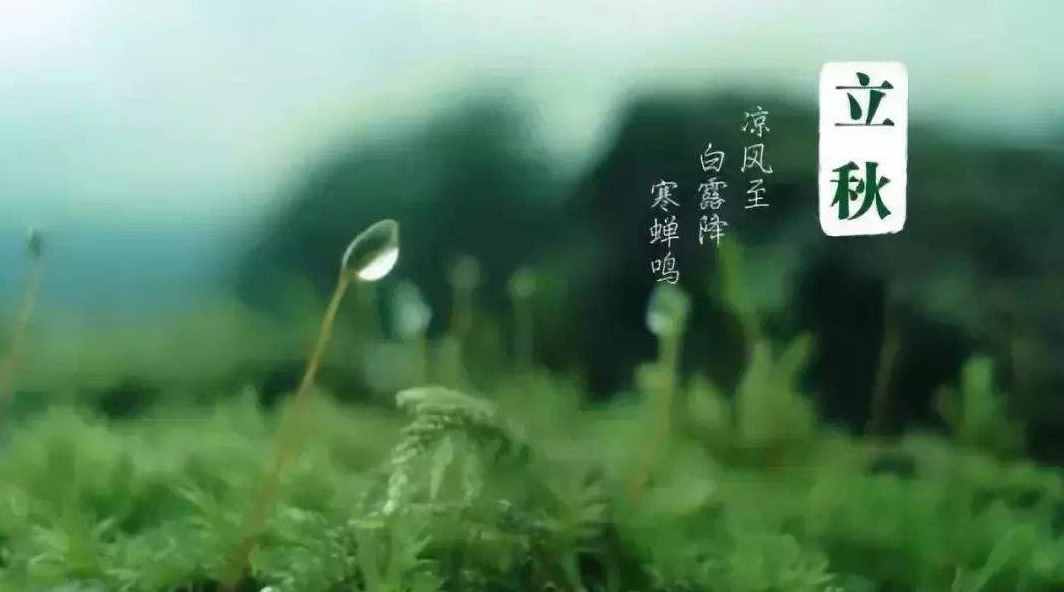 「诗词鉴赏」节物催吾老 天涯见立秋，邂逅最美立秋诗词