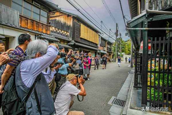 实拍京都最大艺伎区：日本艺伎不是妓，一出场惊艳无数摄影师