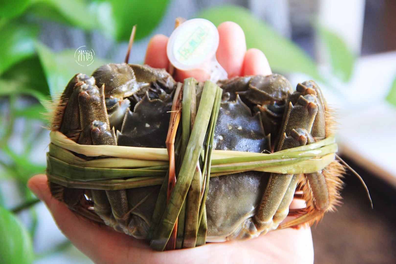 大闸蟹的正确吃法，简单几步让你把蟹吃精光，不浪费