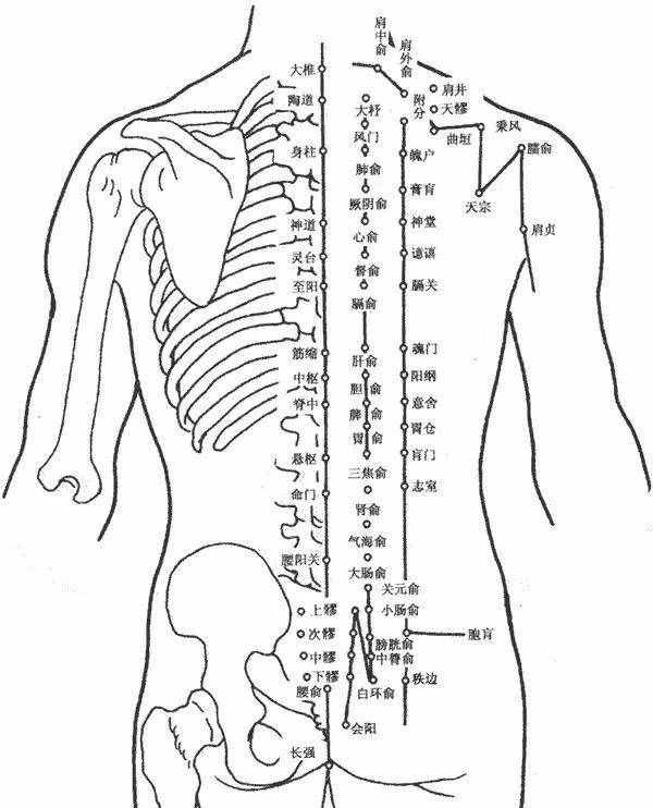 人体穴位图，从头到脚都标的一清二楚