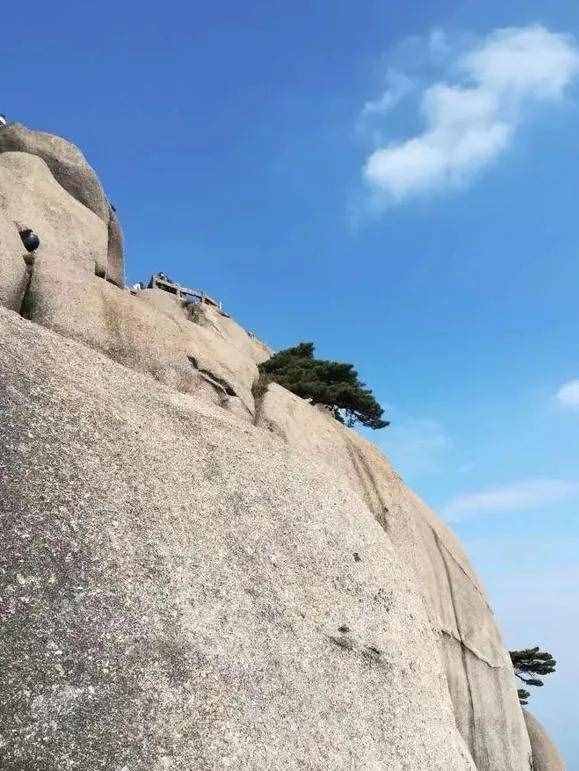 大美黄山奇松怪石