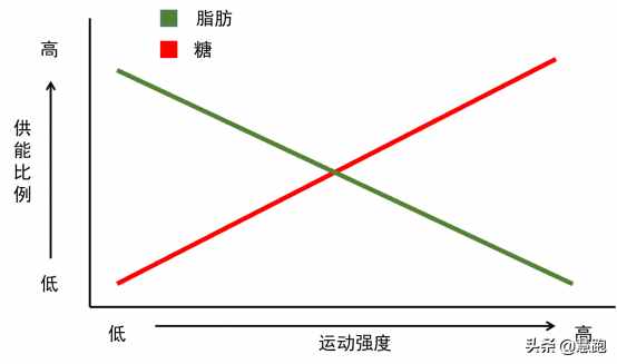 最新大数据研究证实：跑步是最有效的减肥运动，无论你是何种体质