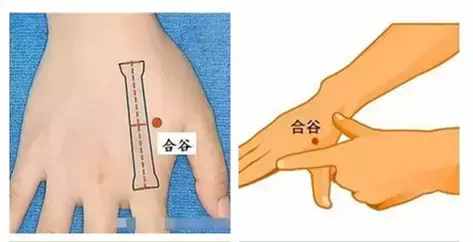 神奇的合谷穴，人体自带的“药箱”