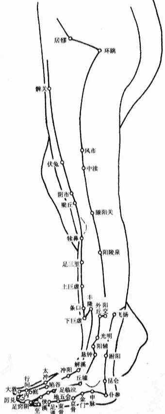 人体穴位图，从头到脚都标的一清二楚