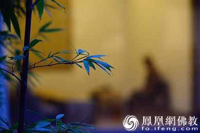 不吃不喝十几天 揭秘高僧打坐入定的秘密