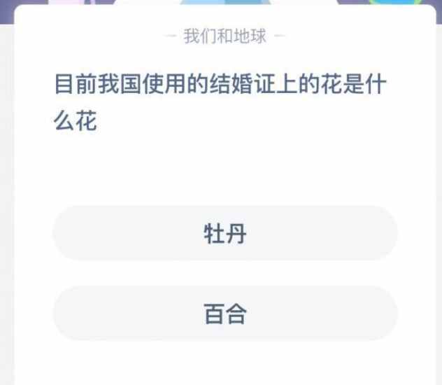 结婚证上是什么花（结婚证上的花是什么花）