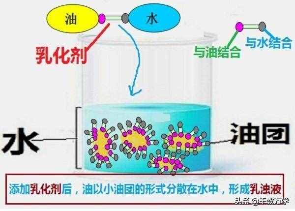 油脂在碱性条件下水解(油脂的水解反应方程式)