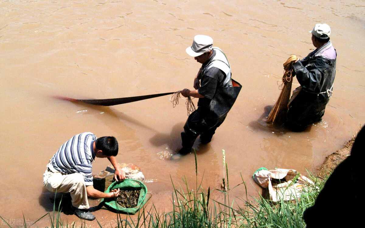 黄河调水调沙19年，下游成“泥河”，专家却说黄河水在变清？