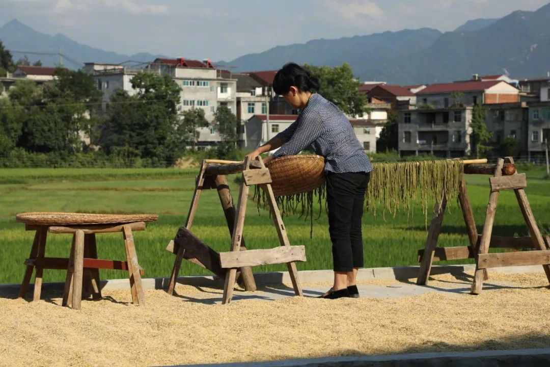 二十四节气食俗大全！今日惊蛰宜吃它