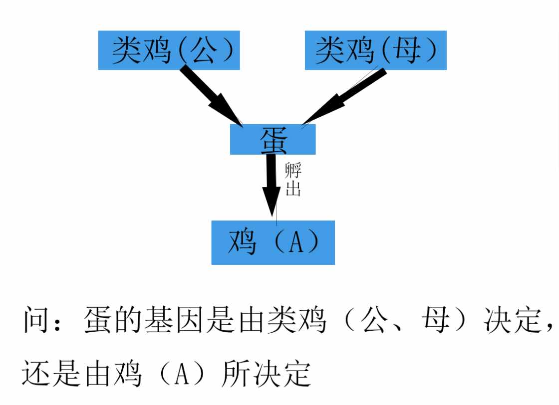 先有鸡还是先有蛋？