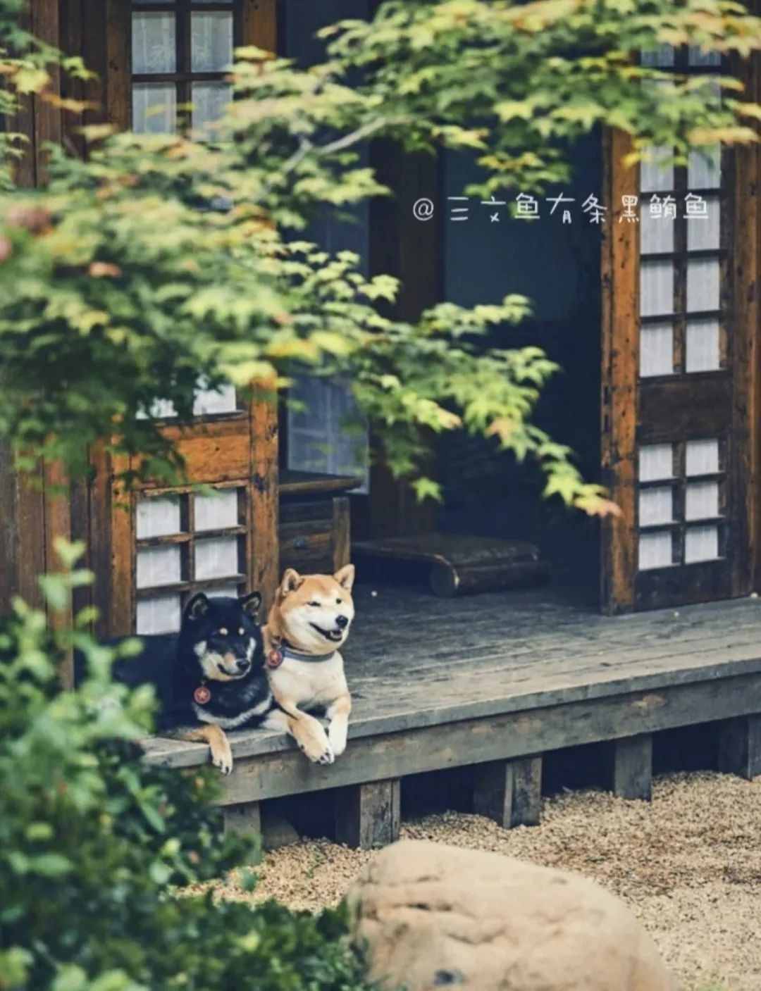 五一人挤人？金山周边小众景点好玩又好拍，赶紧看过来