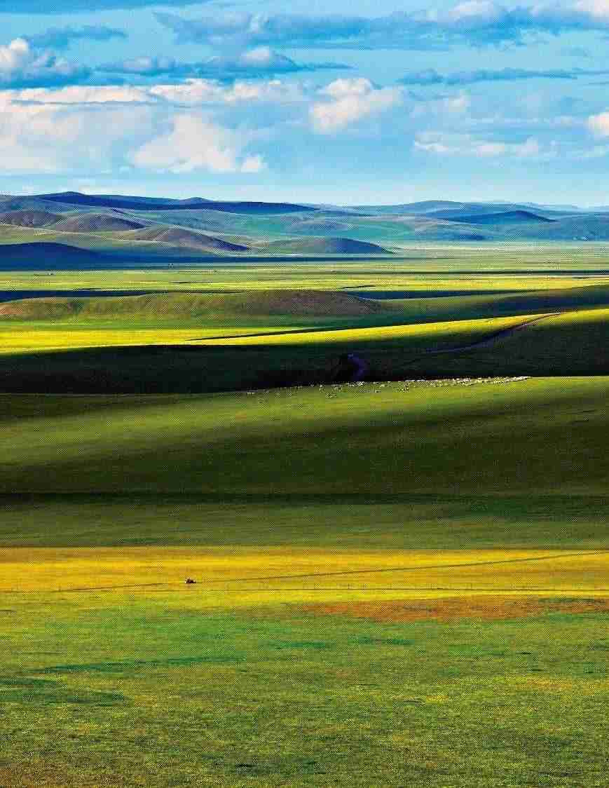 中国最大的草原在哪里？