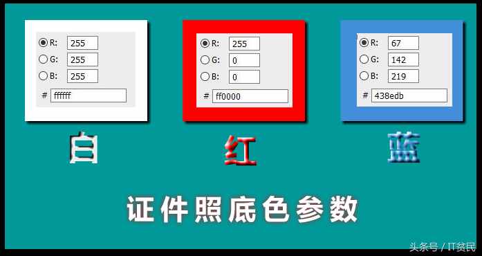 证件照的具体尺寸和颜色你知道吗？