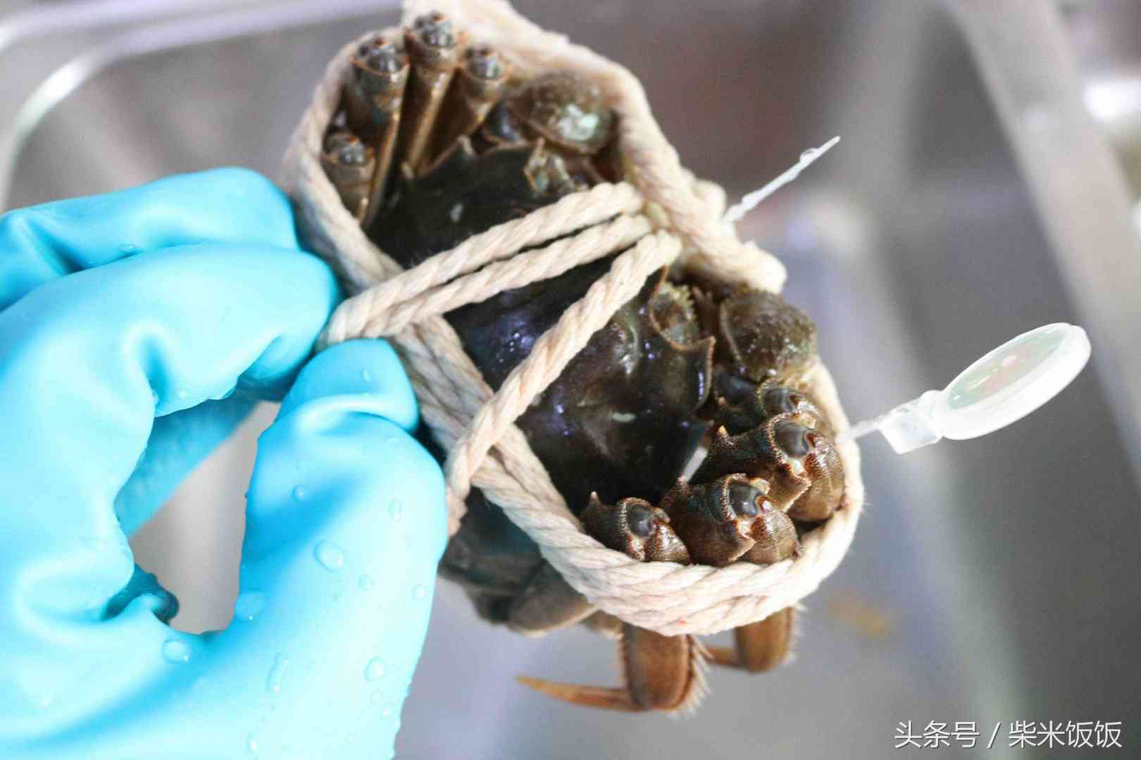 大闸蟹怎么洗？怎么蒸？怎么吃？这三点很多人都做错了！