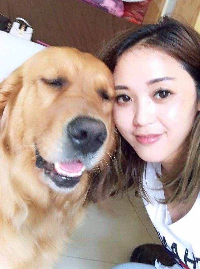 饲养金毛犬最正确的方法，你学会了吗？