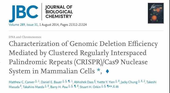 CRISPR/Cas9敲除LncRNA或者外显子的效率是多少？