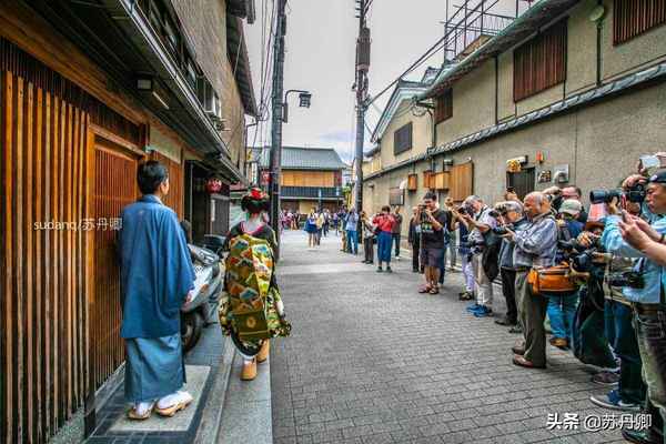 实拍京都最大艺伎区：日本艺伎不是妓，一出场惊艳无数摄影师